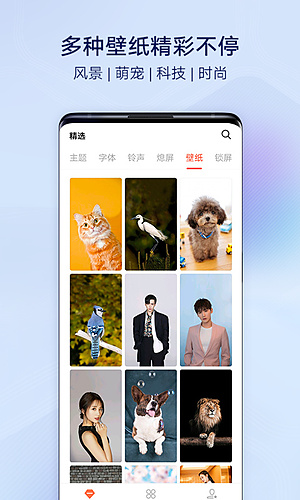 vivo主题商店2026免费下载安装 v5.2.4.0