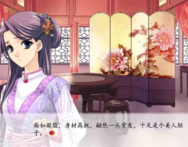 红楼梦：林黛玉与北静王官方版 v2.5.1