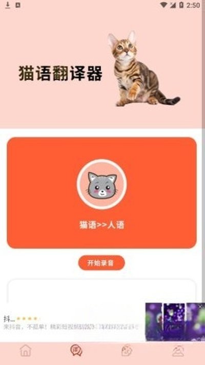 摸摸小猫app手机版下载安装 v1.1