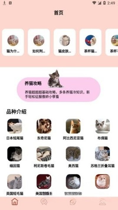 摸摸小猫app手机版下载安装 v1.1
