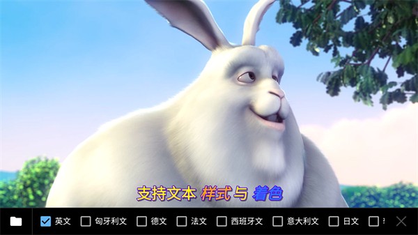 mx播放器专业版 v2.9.9