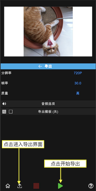 NodeVideo免费版 NodeVideo免费版