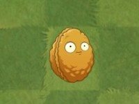 植物大战僵尸2无限999999钻999999金币中文版下载 植物大战僵尸2无限999999钻999999金币中文版下载