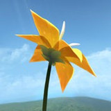 Flower花安卓版下载 v1.0.9 Flower花安卓版下载 v1.0.9